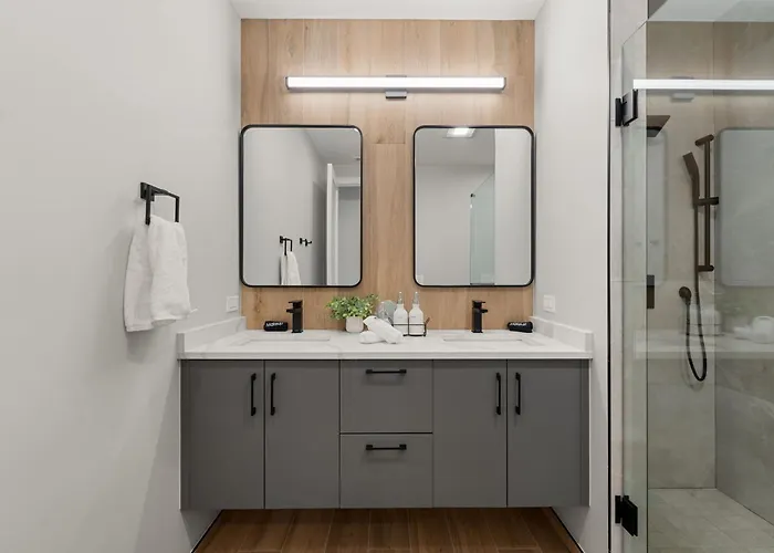 Bright 2bed 2bath In Brand New Pilsen Development Apartment Chicago