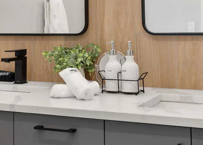 Bright 2bed 2bath In Brand New Pilsen Development Apartment Chicago