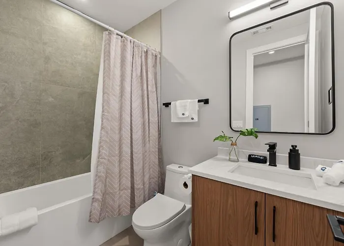 Bright 2bed 2bath In Brand New Pilsen Development Chicago