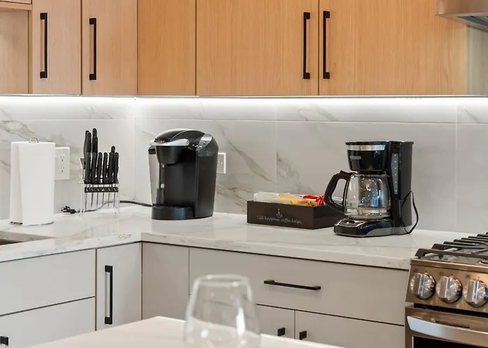 Apartment Bright 2bed 2bath In Brand New Pilsen Development