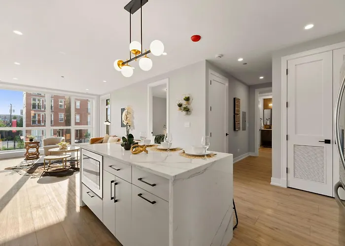 Bright 2bed 2bath In Brand New Pilsen Development
